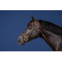 Bridon X-Fit US Collectie van Dy'on