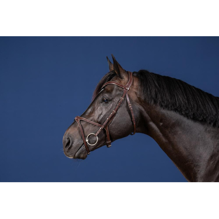 Bridon X-Fit US Collectie van Dy'on