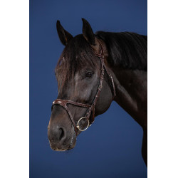 Bridon X-Fit US Collectie van Dy'on Bruin Bridon X-Fit US Collectie van Dy'on Bruin