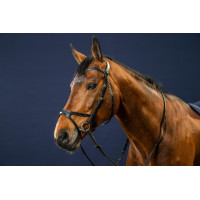 Bridon X-Fit D Collectie van Dy'on Zwart