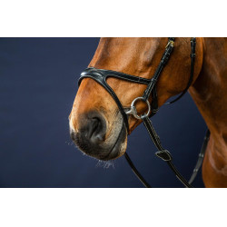 Bridon X-Fit D Collectie van Dy'on Zwart Bridon X-Fit D Collectie van Dy'on Zwart