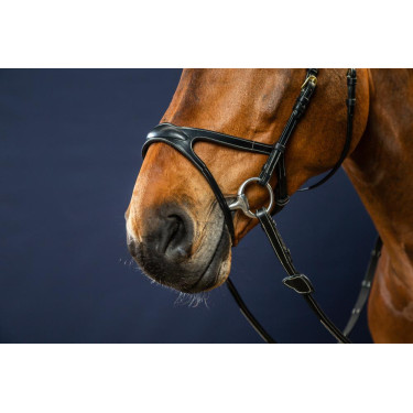 Bridon X-Fit D Collectie van Dy'on Zwart Bridon X-Fit D Collectie van Dy'on Zwart