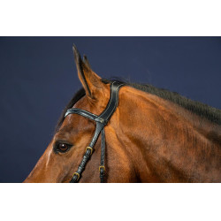 Bridon X-Fit D Collectie van Dy'on Zwart Bridon X-Fit D Collectie van Dy'on Zwart