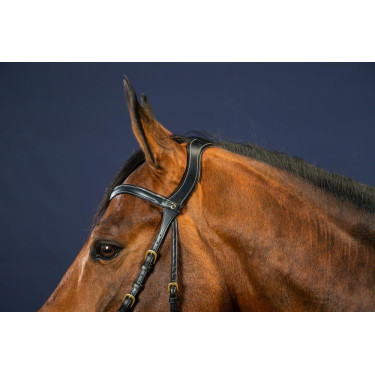 Bridon X-Fit D Collectie van Dy'on Zwart Bridon X-Fit D Collectie van Dy'on Zwart