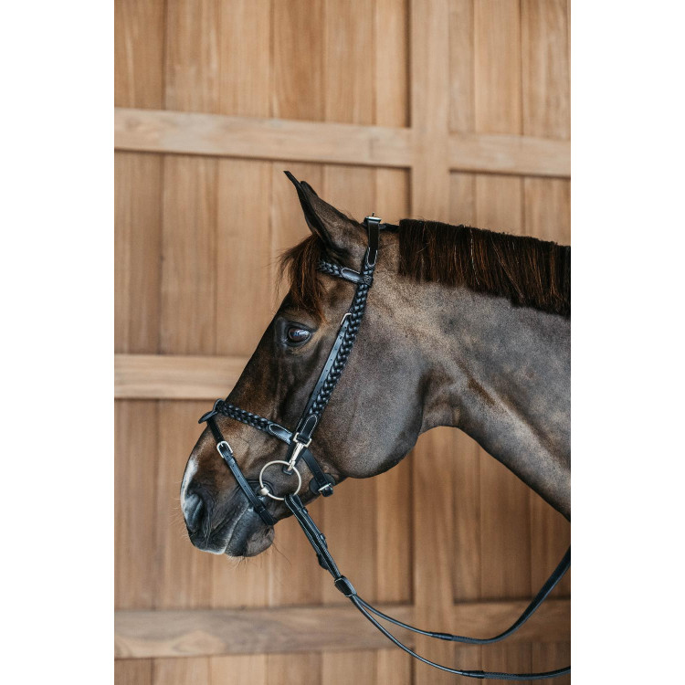 Gevlochten Trainingshoofdstel Werking Door Dy'on Gevlochten Trainingshoofdstel Werking Door Dy'on
