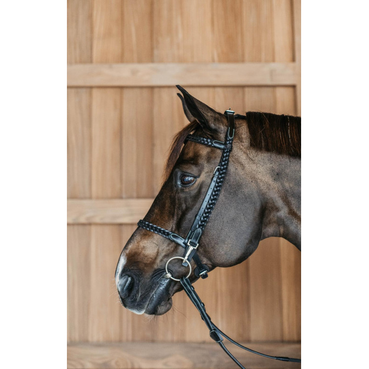 Gevlochten Trainingshoofdstel Werking Door Dy'on Gevlochten Trainingshoofdstel Werking Door Dy'on