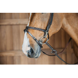 Gevlochten Trainingshoofdstel Werking Door Dy'on Gevlochten Trainingshoofdstel Werking Door Dy'on