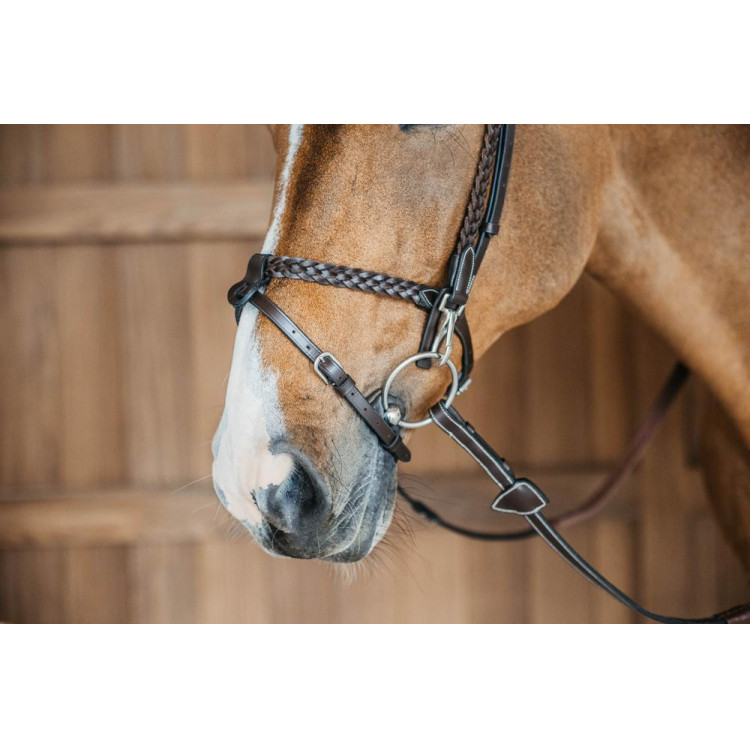 Gevlochten Trainingshoofdstel Werking Door Dy'on Gevlochten Trainingshoofdstel Werking Door Dy'on