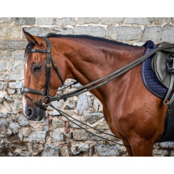 Duitse teugels Leder/Nylon 5/8 D Collectie van Dy'on