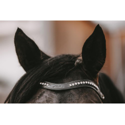 Frontale in V Swarovski wit New English Collection by Dy'on