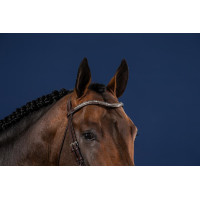 Frontale V Clincher Zilver US Collectie door Dy'on Zwart Frontale V Clincher Zilver US Collectie door Dy'on Zwart