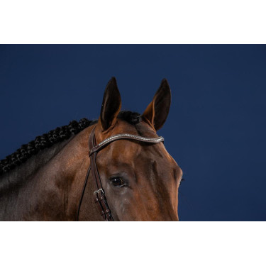 Frontale V Clincher Zilver US Collectie door Dy'on Frontale V Clincher Zilver US Collectie door Dy'on