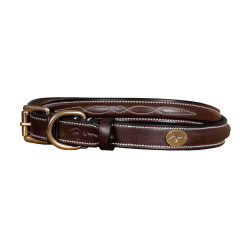 Halsband Voor Hond Met Decoratieve Stiksels Dy'on Bruin