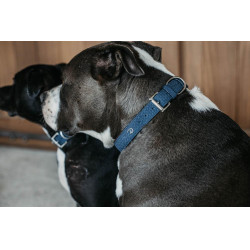 Halsband voor hond Basket Dy'on