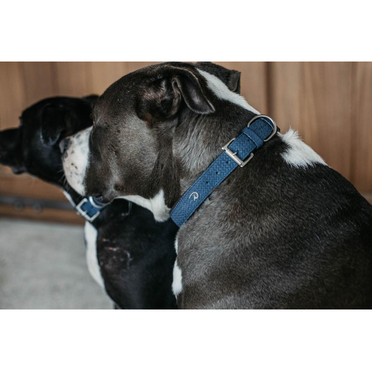 Halsband voor hond Basket Dy'on