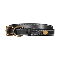 Leren Platte Hondenhalsband Dy'on