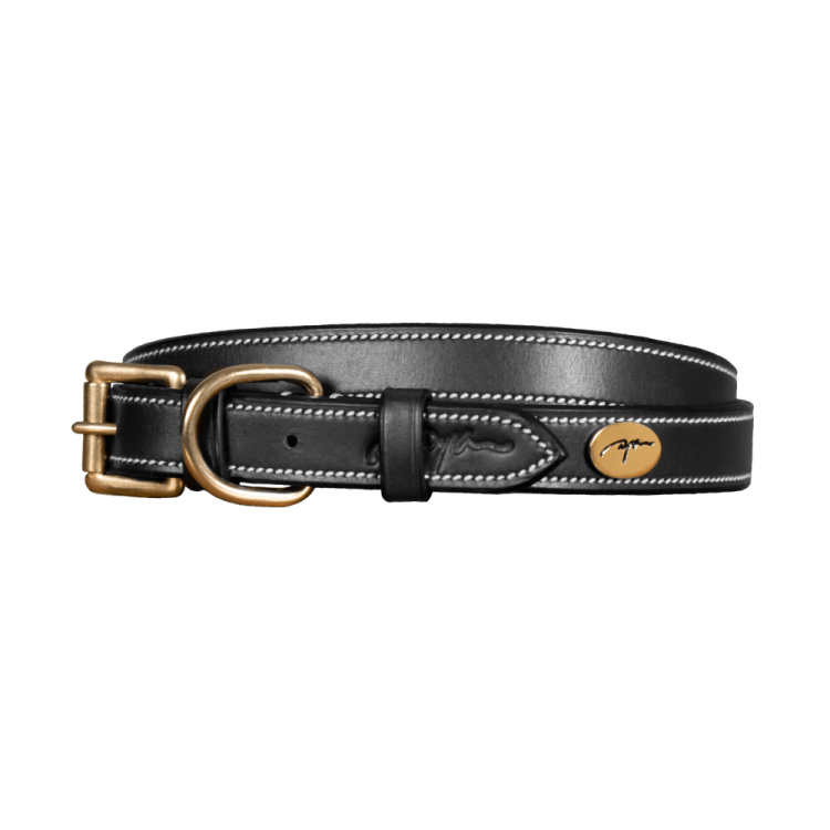 Leren Platte Hondenhalsband Dy'on