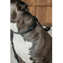 Gevlochten hondenhalsband Dy'on