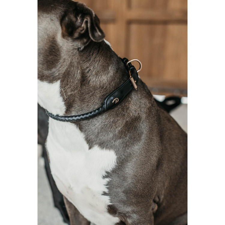 Gevlochten hondenhalsband Dy'on