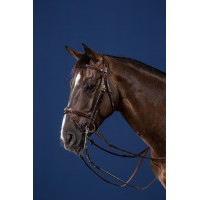 Gecombineerde Neusriem D Collection by Dy'on Bruin