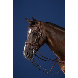 Gecombineerde Neusriem D Collection by Dy'on