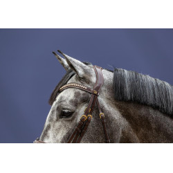 Gecombineerde Neusriem D Collection by Dy'on Bruin