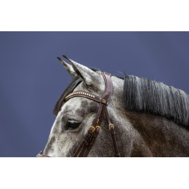 Gecombineerde Neusriem D Collection by Dy'on Gecombineerde Neusriem D Collection by Dy'on