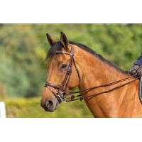 Gebroken Combinatie Neusriem New English Collection by Dy'on Zwart