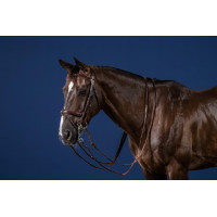 Gebroken Combinatie Neusriem New English Collection by Dy'on Zwart