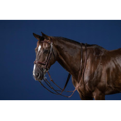 Gebroken Combinatie Neusriem New English Collection by Dy'on Bruin