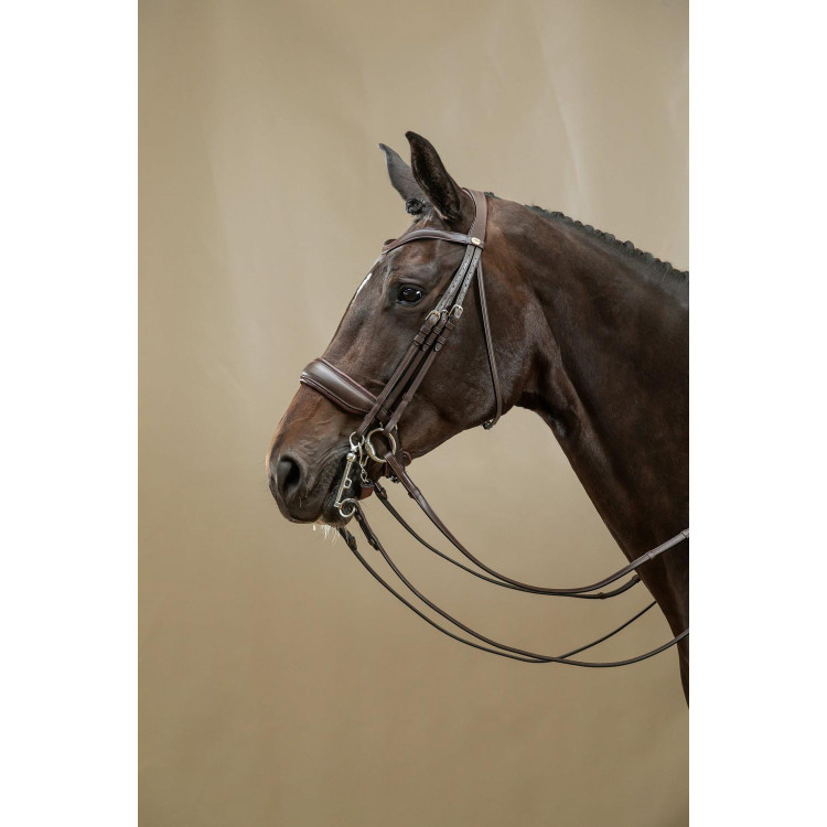 Trenshoofdstel Grote Matte Werking Door Dy'on Trenshoofdstel Grote Matte Werking Door Dy'on