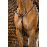 Jachtborsttuig D-Collectie van Dy'on Bruin