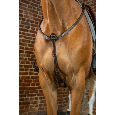 Jachtborsttuig D-Collectie van Dy'on Bruin Jachtborsttuig D-Collectie van Dy'on Bruin