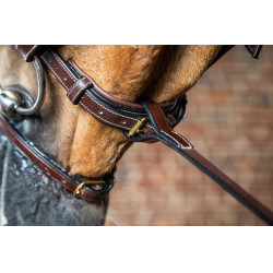 Vork van vaste martingaal D Collectie van Dy'on Bruin