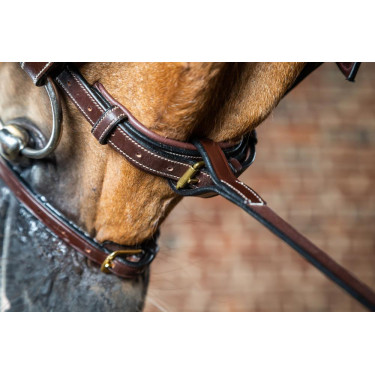 Vork van vaste martingaal D Collectie van Dy'on Bruin