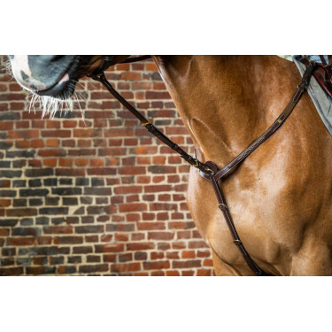 Vork van vaste martingaal D Collectie van Dy'on Bruin