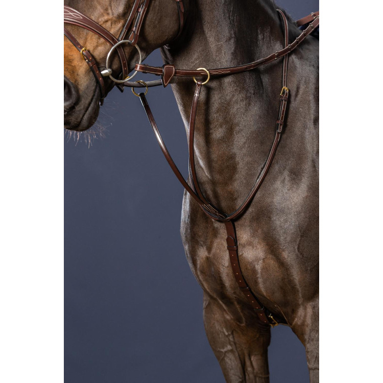 Martingaal Met Ringen D Collectie van Dy'on Martingaal Met Ringen D Collectie van Dy'on