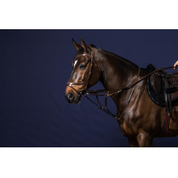Vork Howlett D Collectie van Dy'on
