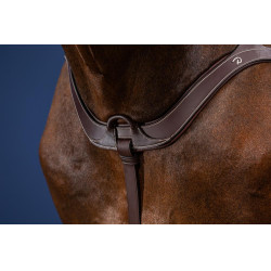 Anatomisch Jachtborsttuig US Collection by Dy'on Bruin Anatomisch Jachtborsttuig US Collection by Dy'on Bruin