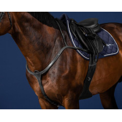 Jachtmartingaal Lang Met Pont US Collectie by Dy'on