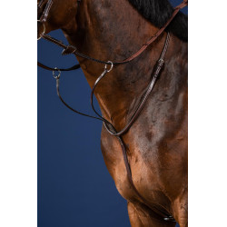 Martingaal Met Ringen US Collectie van Dy'on
