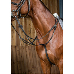 Martingaal Met Ringen Working By Dy'on