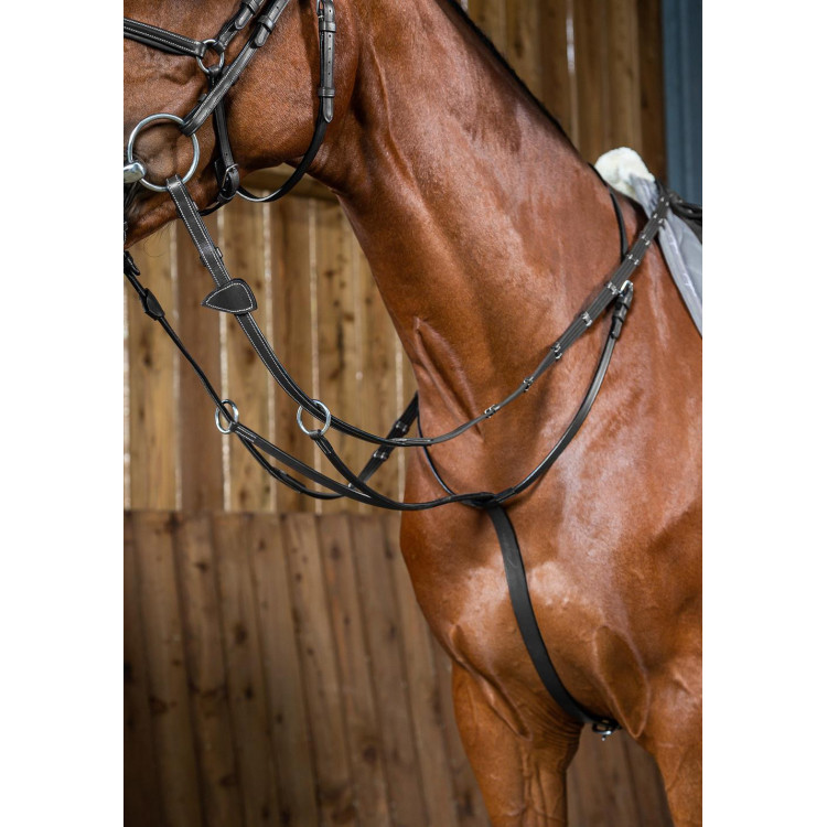 Martingaal Met Ringen Working By Dy'on