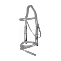 Bitten US Collection by Dy'on Zwart