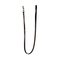 Klassieke Hondenriem Dy'on Bruin