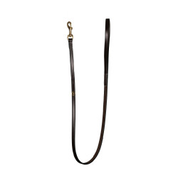 Klassieke Hondenriem Dy'on Bruin