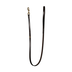 Klassieke Hondenriem Dy'on Bruin