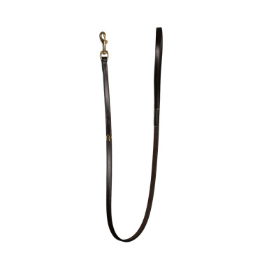 Klassieke Hondenriem Dy'on Bruin