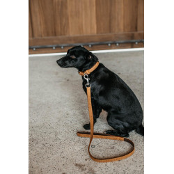 Laat voor hond basket Dy'on Laat voor hond basket Dy'on