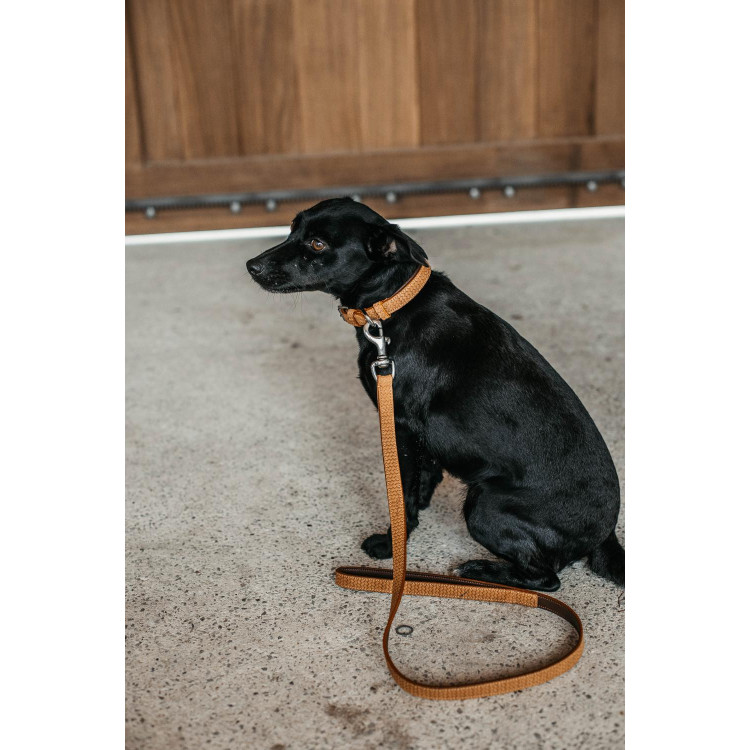 Laat voor hond basket Dy'on Laat voor hond basket Dy'on